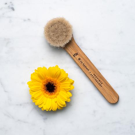 Daily Glow Facial Dry Brush | Province Apothecary
